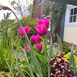 Appartement Am Flussgarten
