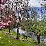Appartement Am Flussgarten