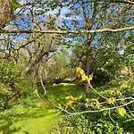 Appartement Am Flussgarten