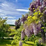 Appartement Am Flussgarten Eriskirch