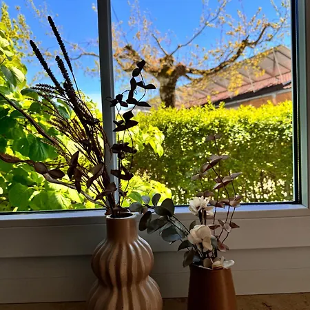 Apartment Am Flussgarten