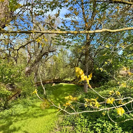 Daire Am Flussgarten