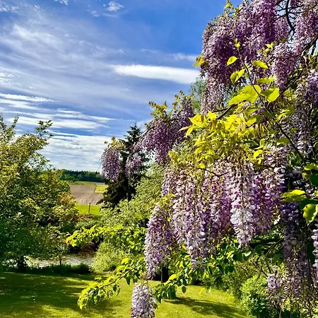 公寓 Am Flussgarten 埃里斯基尔希