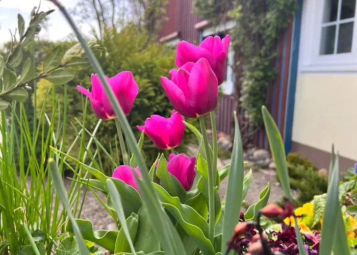 Daire Am Flussgarten