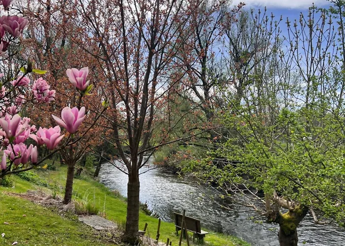 Daire Am Flussgarten