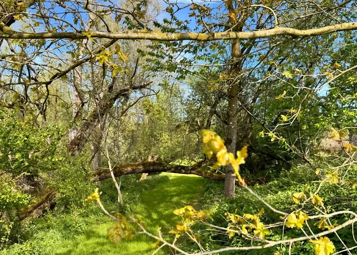 Daire Am Flussgarten