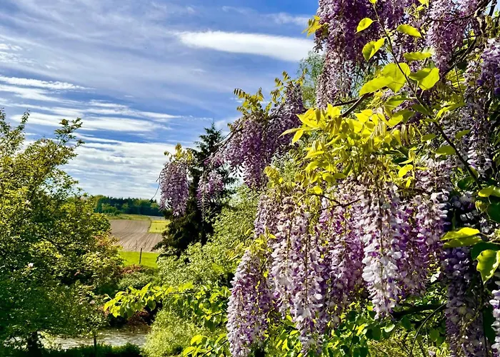 Daire Am Flussgarten Eriskirch